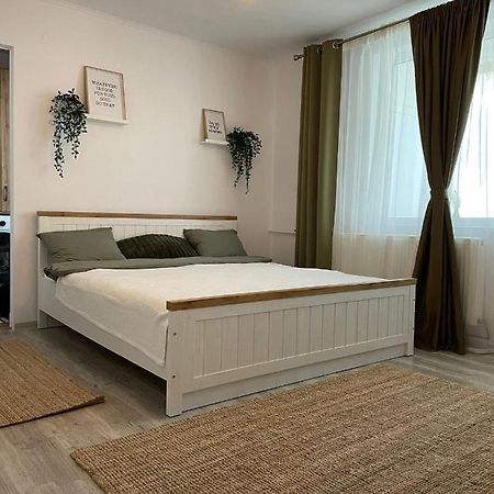 Carol Apartament'S Timisoara Exterior photo