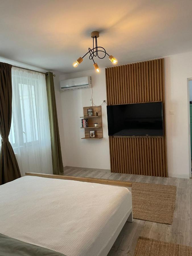 Carol Apartament'S Timisoara Exterior photo