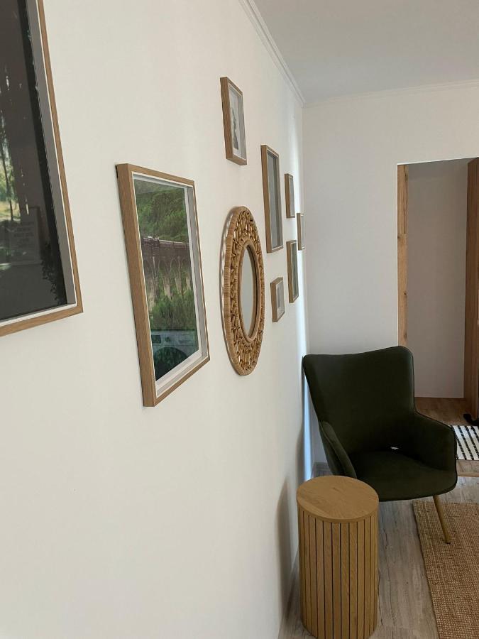 Carol Apartament'S Timisoara Exterior photo