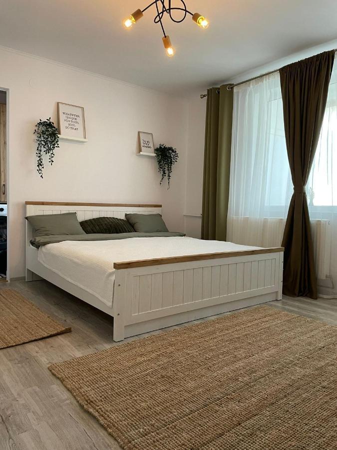 Carol Apartament'S Timisoara Exterior photo